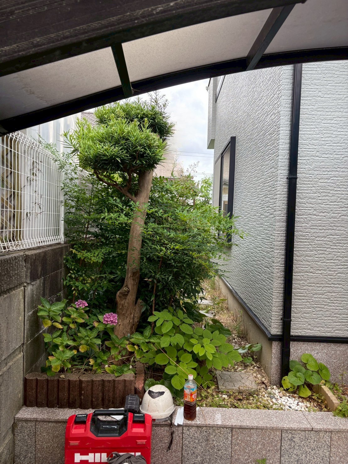 Before